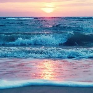 Meet your Posher, Lexy